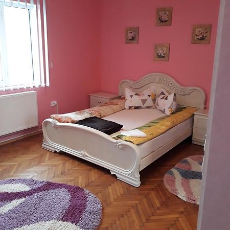 Casa Ade Διαμέρισμα Călimăneşti Εξωτερικό φωτογραφία