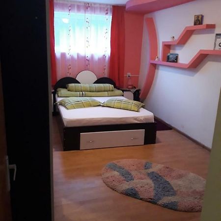 Casa Ade Διαμέρισμα Călimăneşti Εξωτερικό φωτογραφία