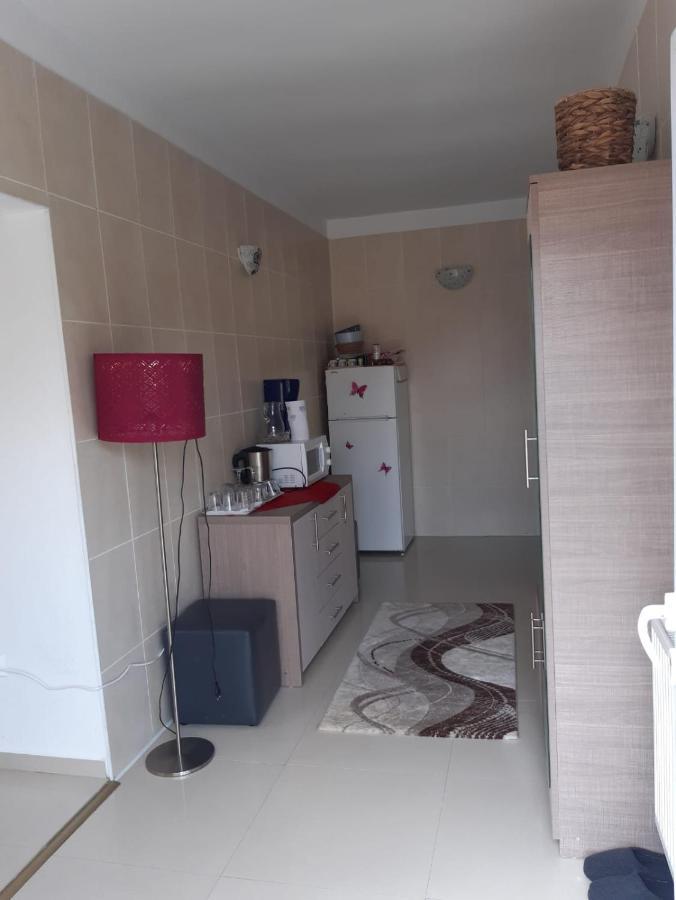 Casa Ade Διαμέρισμα Călimăneşti Εξωτερικό φωτογραφία