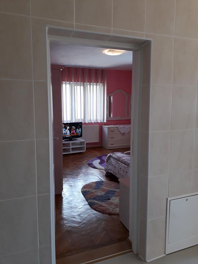 Casa Ade Διαμέρισμα Călimăneşti Εξωτερικό φωτογραφία