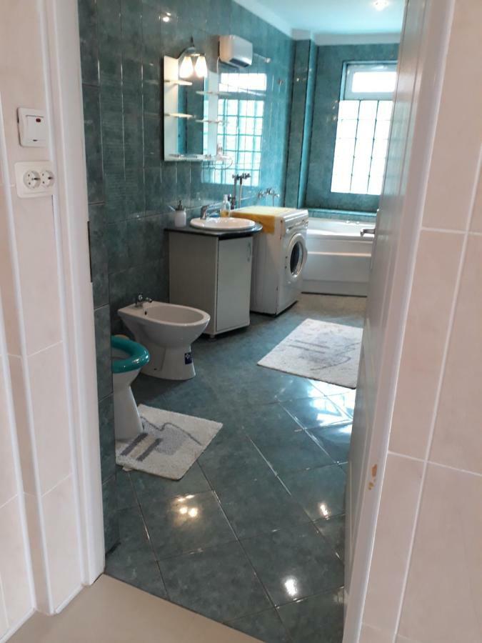Casa Ade Διαμέρισμα Călimăneşti Εξωτερικό φωτογραφία