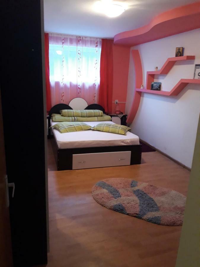 Casa Ade Διαμέρισμα Călimăneşti Εξωτερικό φωτογραφία