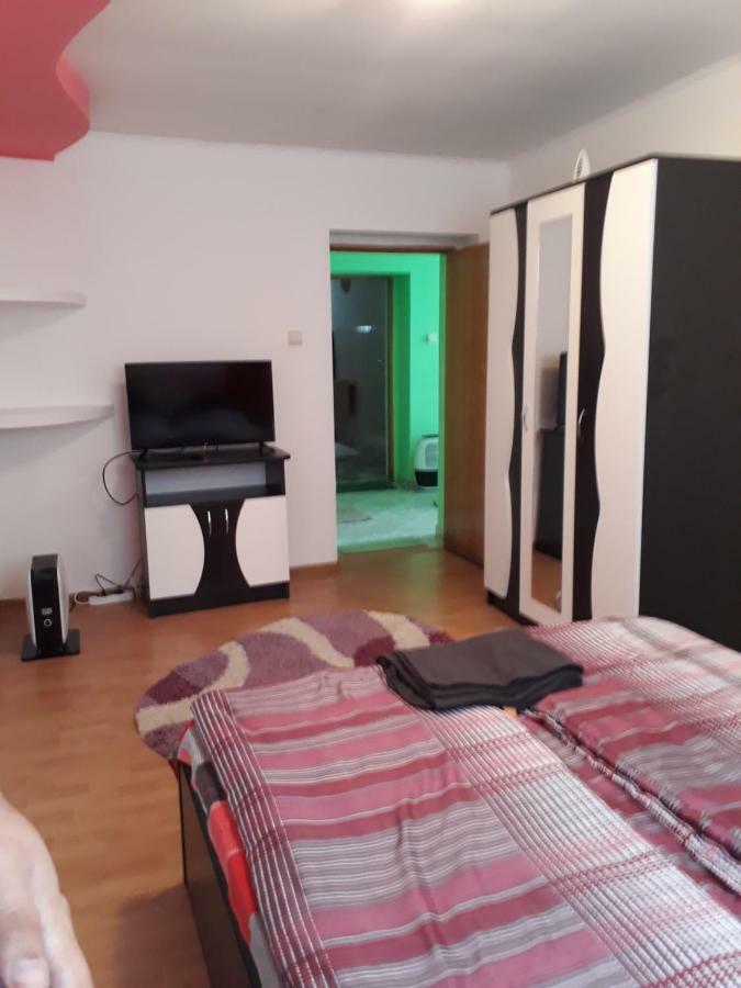 Casa Ade Διαμέρισμα Călimăneşti Εξωτερικό φωτογραφία