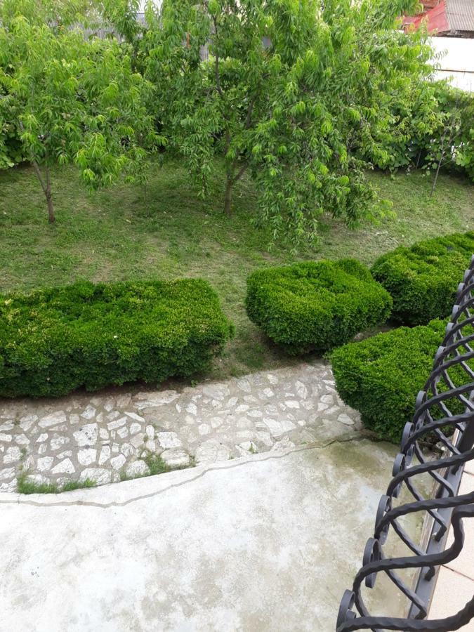 Casa Ade Διαμέρισμα Călimăneşti Εξωτερικό φωτογραφία