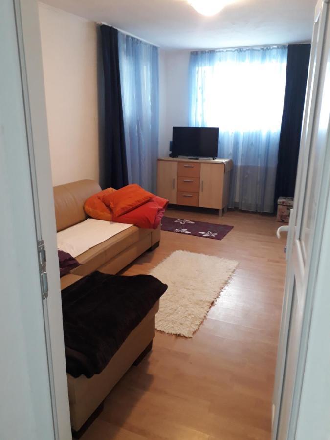 Casa Ade Διαμέρισμα Călimăneşti Εξωτερικό φωτογραφία